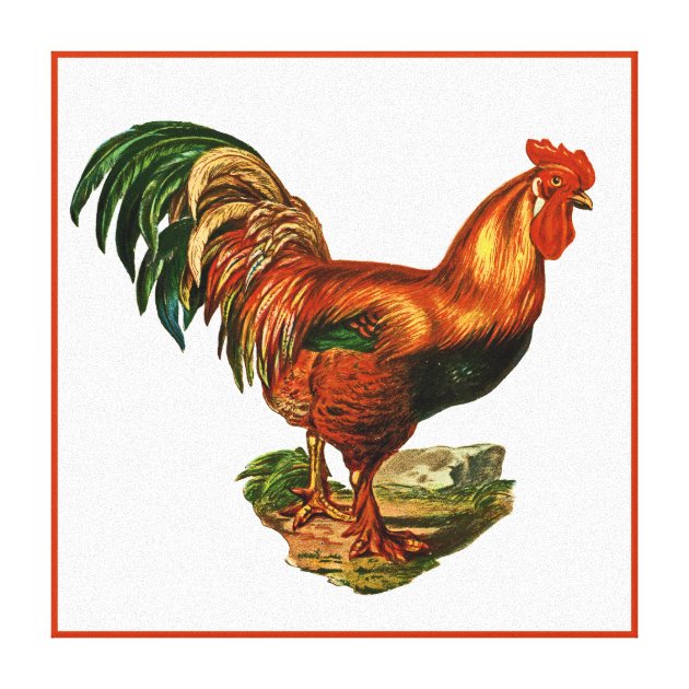 Chicken Hen Rooster tractor farm animal art tile coaster gift 