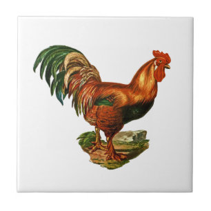 Vintage Green Tail Feathers Rooster Cockerel Tile