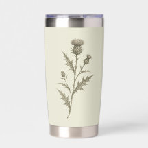 Vintage Green Thistle