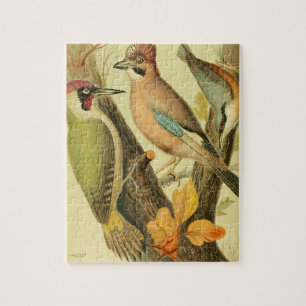 Vintage green woodpecker jigsaw puzzle