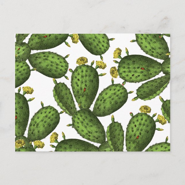 Vintage Green Yellow Floral Cactus Pattern Postcard (Front)