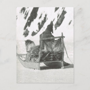 Vintage Greenland, Travelling by sledge Postcard
