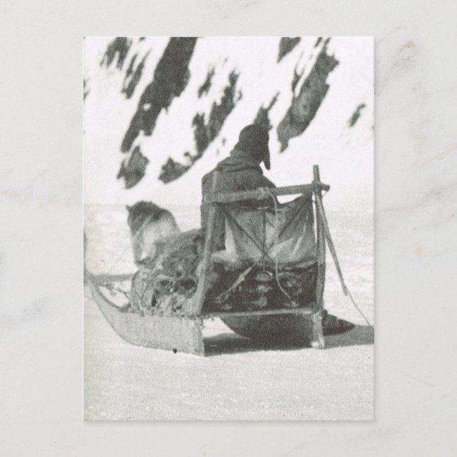 Vintage Greenland, Travelling by sledge Postcard (Front)