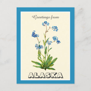 Vintage Greetings from Alaska Forget me not Postcard