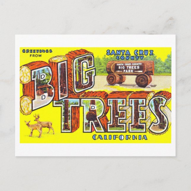 Vintage Greetings from Big Trees, Calif., Postcard (Front)