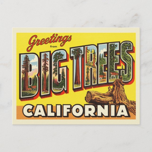 Vintage "Greetings from Big Trees, California" Postcard (Front)