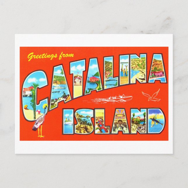 Vintage Greetings from Catalina Island Postcard (Front)