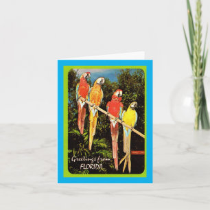 Vintage Greetings From Florida Card
