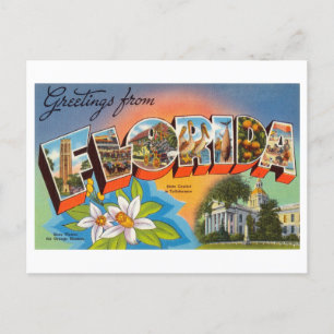 Vintage Greetings from Florida Postcard