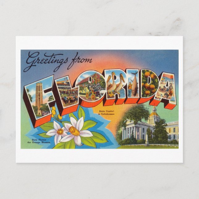 Vintage Greetings from Florida Postcard (Front)