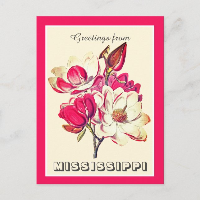 Vintage Greetings from Mississippi Magnolia Postcard (Front)
