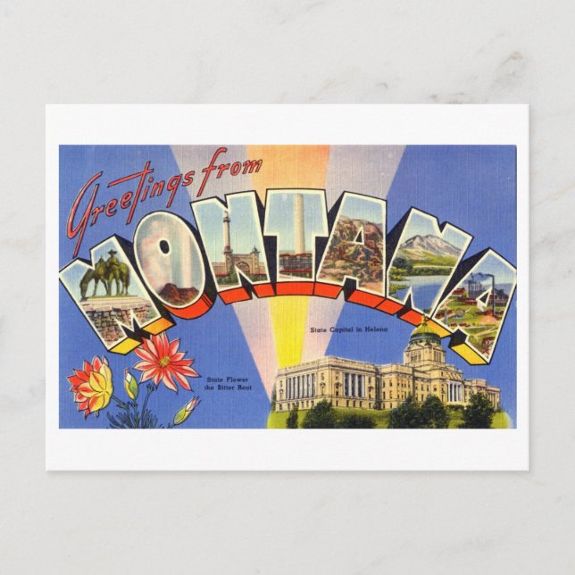 Vintage Greetings from Montana Postcard (Front)