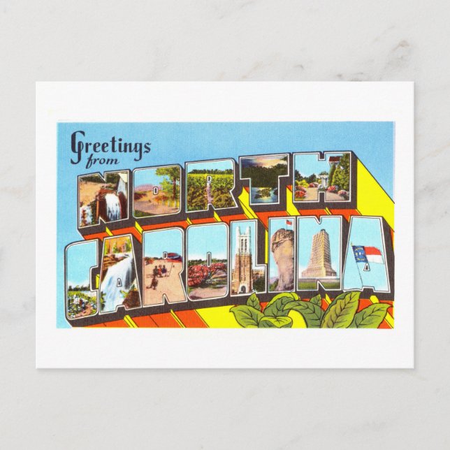 Vintage Greetings from North Carolina Postcard (Front)