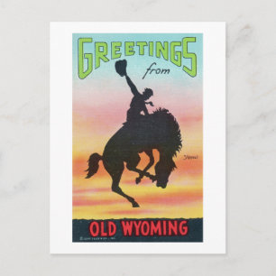 Vintage Greetings from Old Wyoming Cowboy Postcard