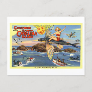 Vintage Greetings from Santa Catalina Island Postcard
