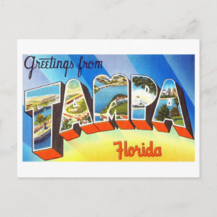 Vintage Greetings from Tampa, Florida Postcard