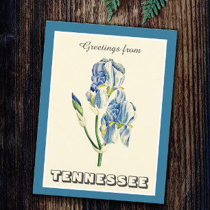 Vintage Greetings from Tennessee Blue Iris Postcard