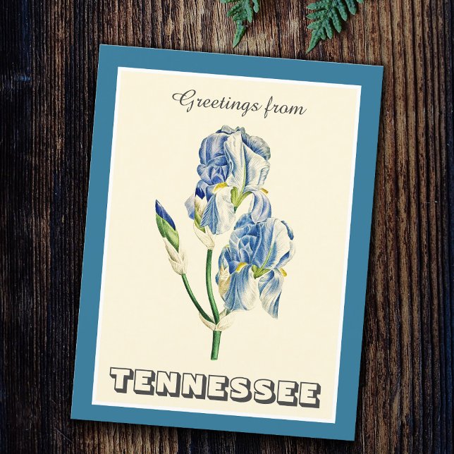 Vintage Greetings from Tennessee Blue Iris Postcard (Creator Uploaded)