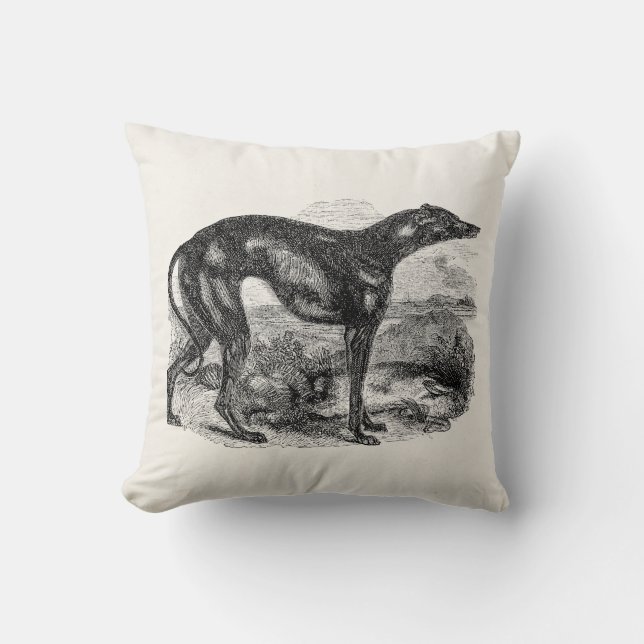 Vintage Greyhound Dog 1800s - Greyhounds Dogs Cushion (Front)