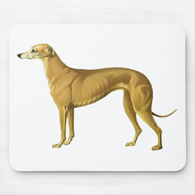 Vintage Greyhound Illustration Mouse Mat (Front)