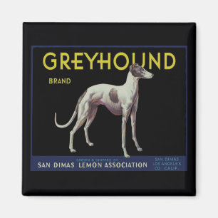 Vintage Greyhound Lemon Label Circa 1920 Magnet