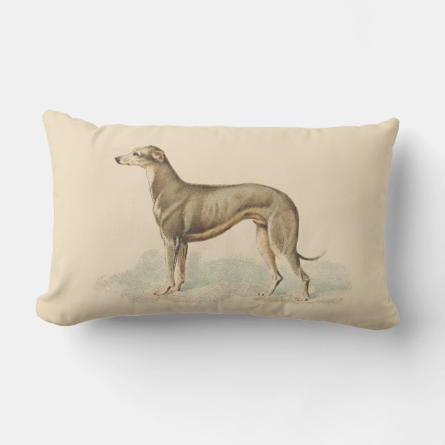 Vintage Greyhound Whippet Print Lumbar Cushion (Front)