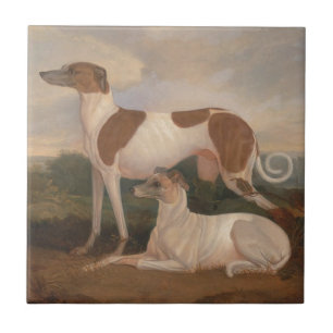 Vintage Greyhounds Tile