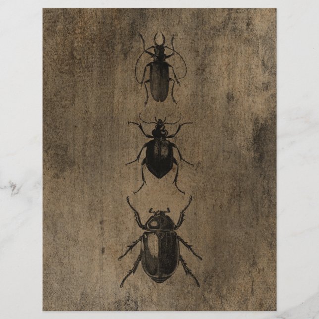 Vintage Grunge Beetles Scrapbook Paper (Front)