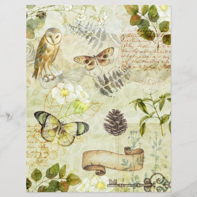 Vintage Grunge Butterflies Foliage Scrapbook Paper (Front)