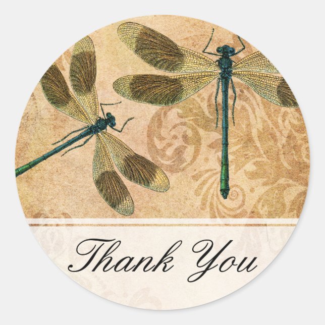 Vintage Grunge Damask Dragonflies Classic Round Sticker (Front)