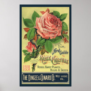 Vintage Guide to Rose Culture Book Cover Art, 1891 Poster