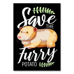 Vintage Guinea Pig Cute Animals Pet Owner Gift Table Number