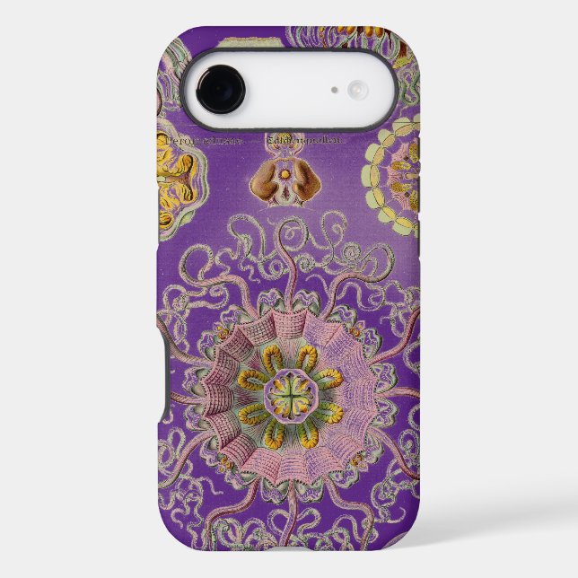 Vintage Haeckel (Back)