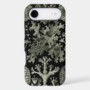 Vintage Haeckel