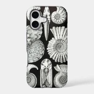 Vintage Haeckel