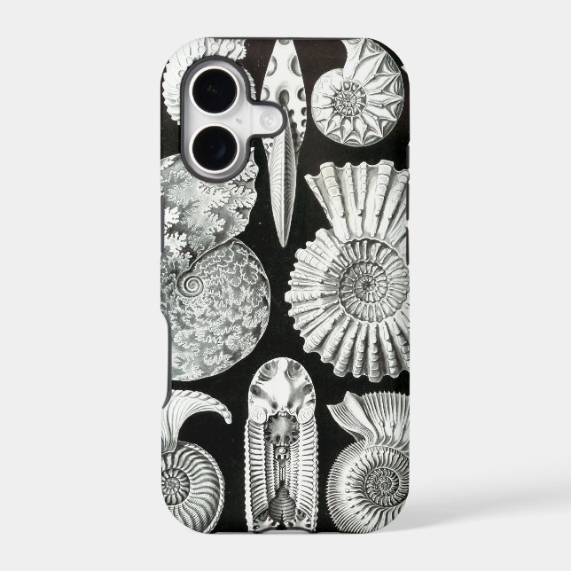 Vintage Haeckel (Back)