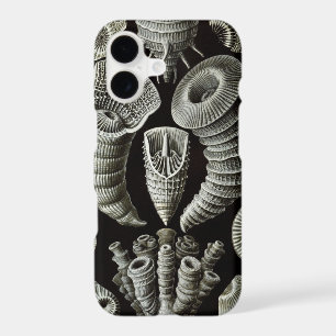 Vintage Haeckel