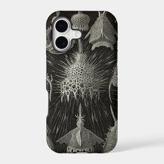 Vintage Haeckel (Back)