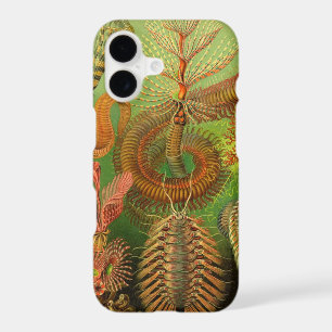 Vintage Haeckel