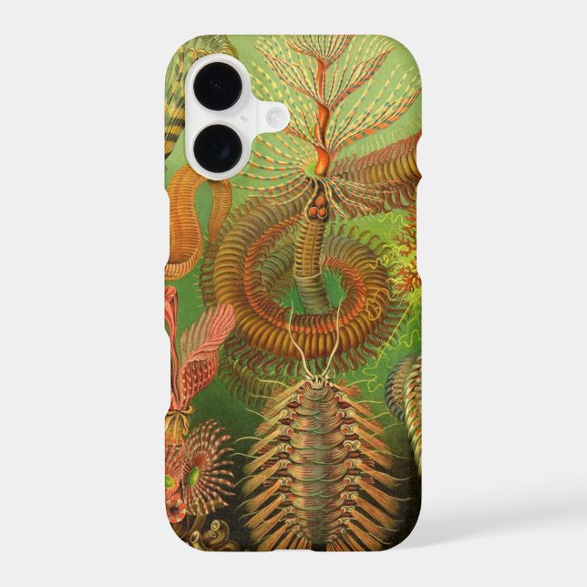 Vintage Haeckel (Back)