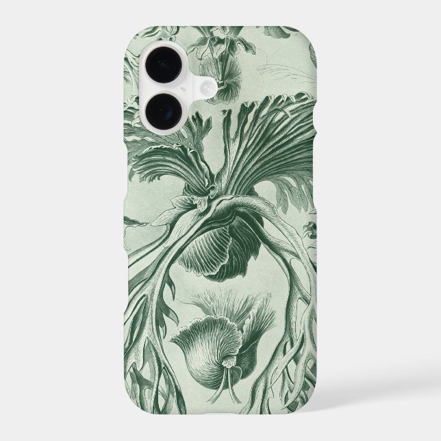Vintage Haeckel (Back)