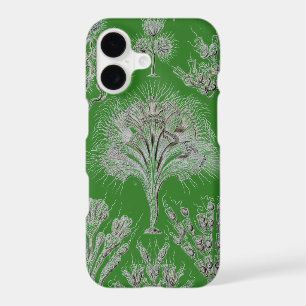 Vintage Haeckel