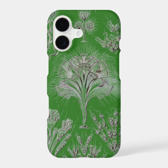 Vintage Haeckel (Back)