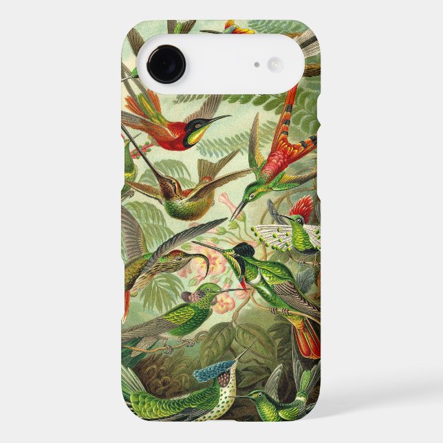 Vintage Haeckel Birds (Back)