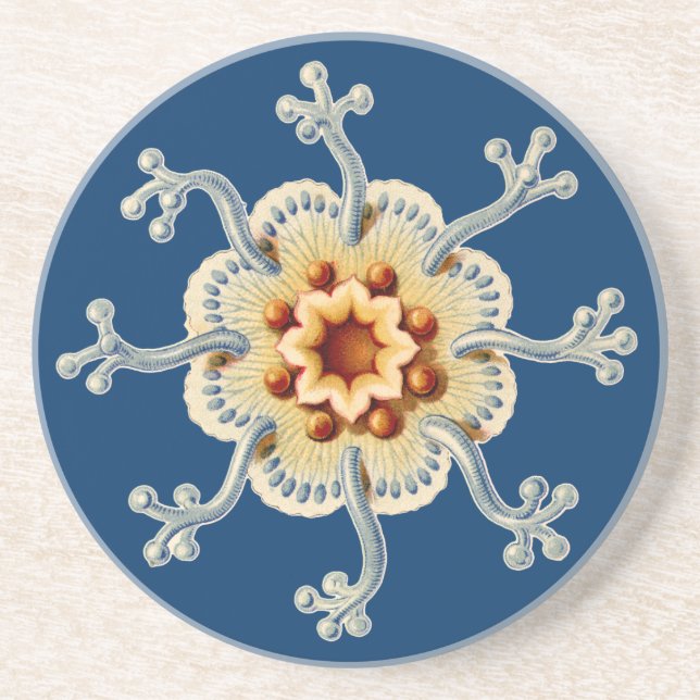 Vintage Haeckel Coaster (Front)