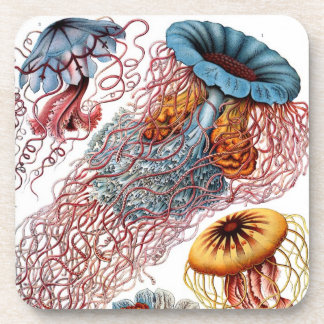 Vintage Haeckel Coaster