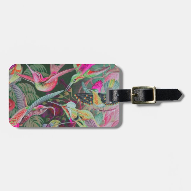 Vintage Haeckel Hummingbirds Luggage Tag (Front Horizontal)