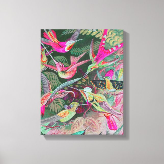 Vintage Haeckel Hummingbirds Wrapped Canvas (Front)