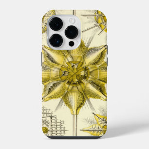 Vintage Haeckel iPhone 14 Pro Case
