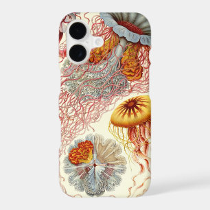 Vintage Haeckel Jellyfish